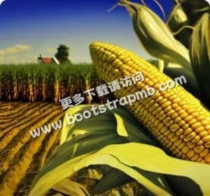 28圈：您的专属体育社区 - 28圈haihaihao