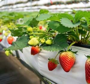 28圈：您的专属体育社区 - 28圈haihaihao