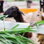 搜索 - 28圈haihaihao